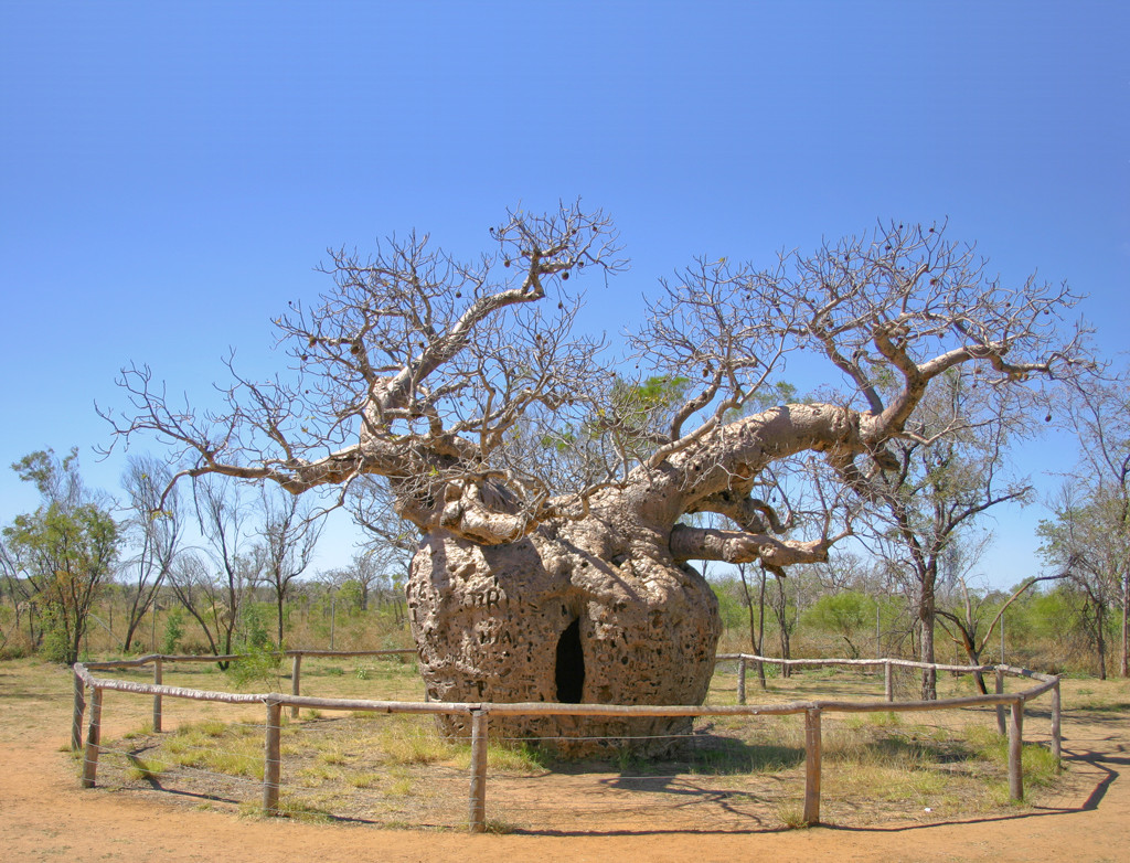 Derby West Kimberley Image 0